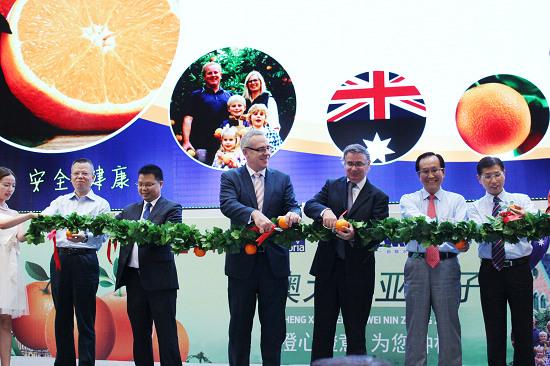 2015澳大利亚鲜橙上市 令人耳目一新
