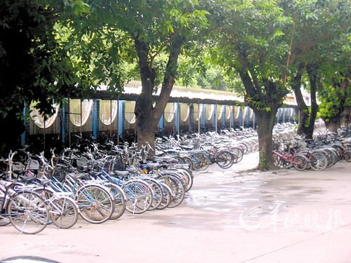 关注有偿补课:课照补钱照收,任你曝光奈我何