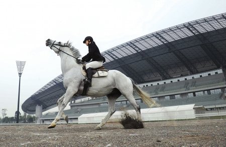 �Ĵ�ʷ���״���������25�ս���˫������(ͼ)