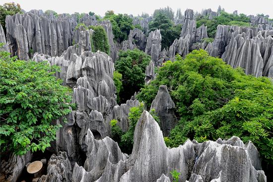 专属优惠 今夏全国高考学子可免费耍云南石林