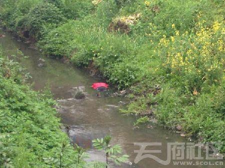 乐山城区沟渠内发现一女尸 水深不足20公分(图