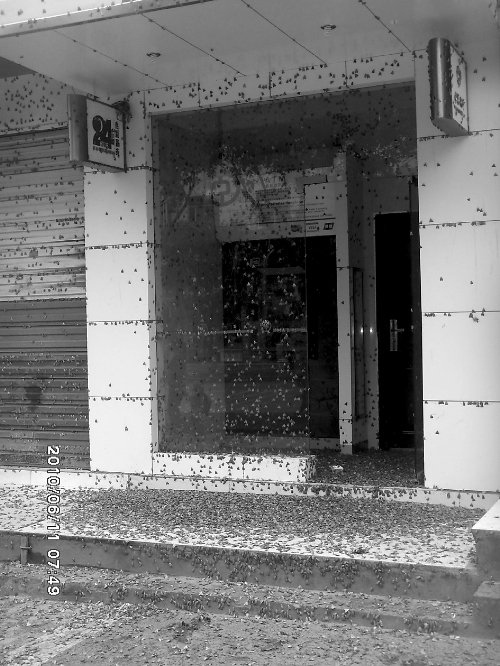 ��������ĳ���