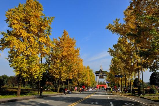 寻找都江堰最美秋景 有机会获最高2000元现金