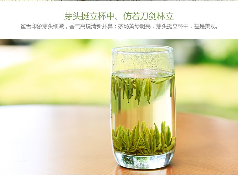 川红雀舌茶叶 50g 2016年春茶尝鲜