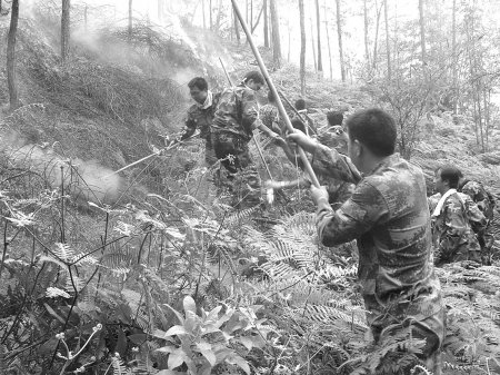 重庆山火蹿至内江 警民上千人通宵参与灭火