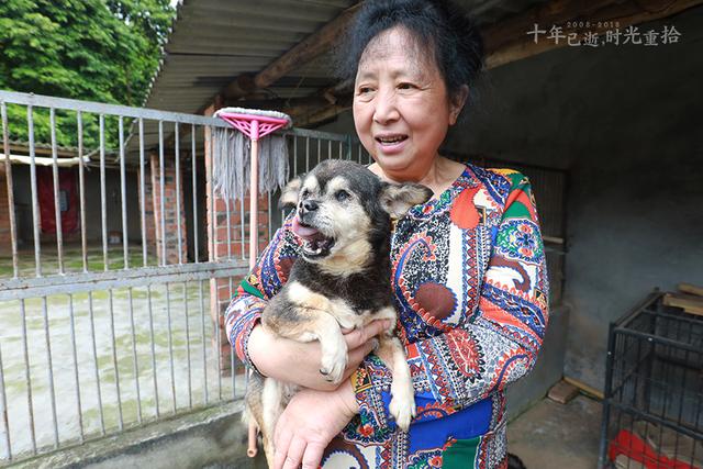 图为陈运莲从都江堰救助的"嘟嘟,因为年迈,瞎眼,受到特殊照顾