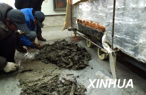 新华视点:安徽六安诸侯王汉墓保护工程搁浅追