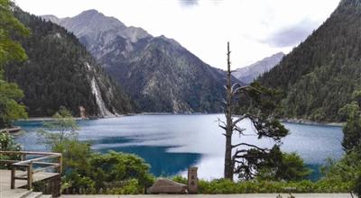 九寨沟长海安好如初 独臂老人柏依然屹立不倒