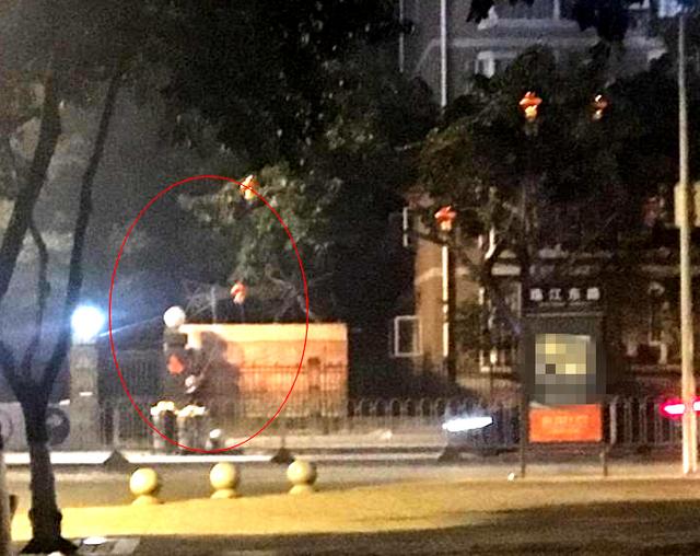 德阳市政部门员工行道树挂灯笼迎新年 挂上不久被偷走