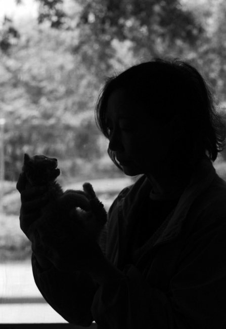 成都猫舍好评排行_成都这一乐园走红,位于成都市中心,门票230游客好评不断