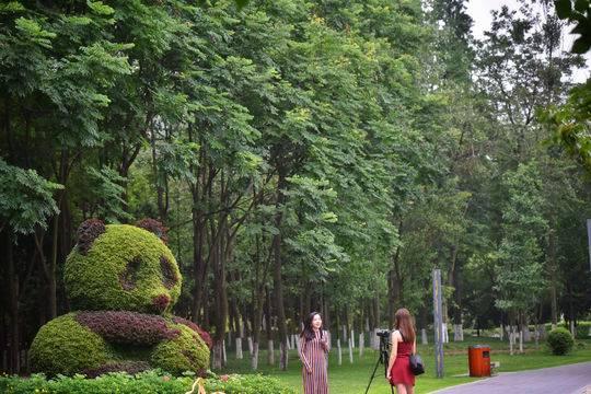 熊猫绿道即将基本贯通 真想把家安在绿道旁