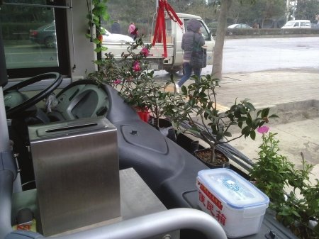 成都62路公交车摆着花卉植物 让花香伴乘客