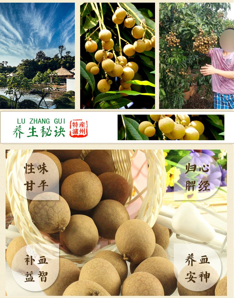 泸州桂圆桂圆干龙眼干四川特产干货