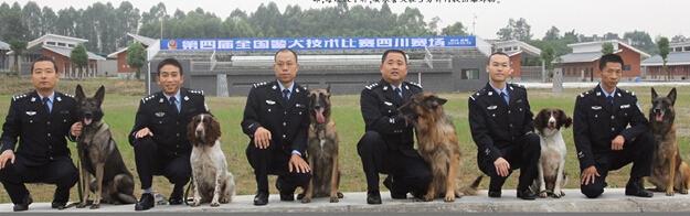 四川血迹搜索犬首次亮相 闻血迹8小时破案(图)