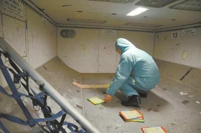 泰国老鼠游成都 飞机停飞3天损失至少60万(图