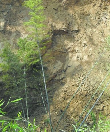 新野gdp_市委副书记曾垂瑞调研新野县经济社会发展情况(2)