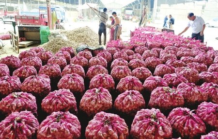 彭州蔬菜旧批发市场30日关闭 交易将移至蒙阳