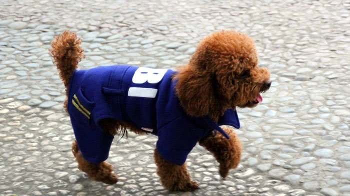 发改委专家:全面推进省管县 最终虚化地级市