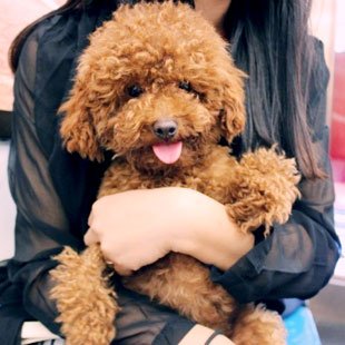 腾讯·大成网 <em>南充</em>频道 - <em>南充</em>本土生活消费社