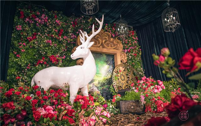 谁说红玫瑰婚礼俗气 看别人家怎么做的