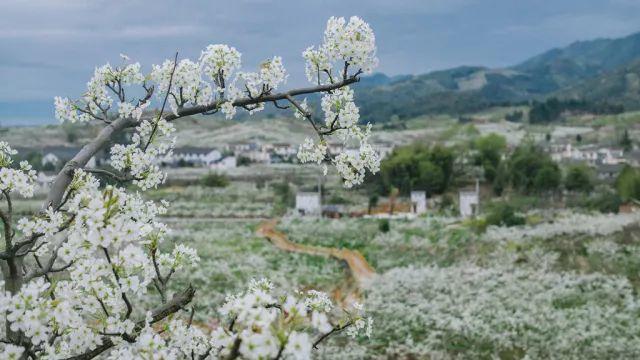 仙沟镇人口_镇元大仙图片(2)