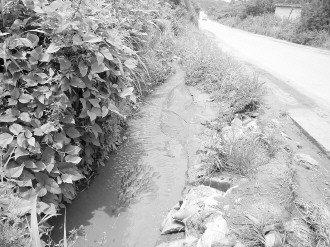 江西定南四家叫停污染企业暗中偷排