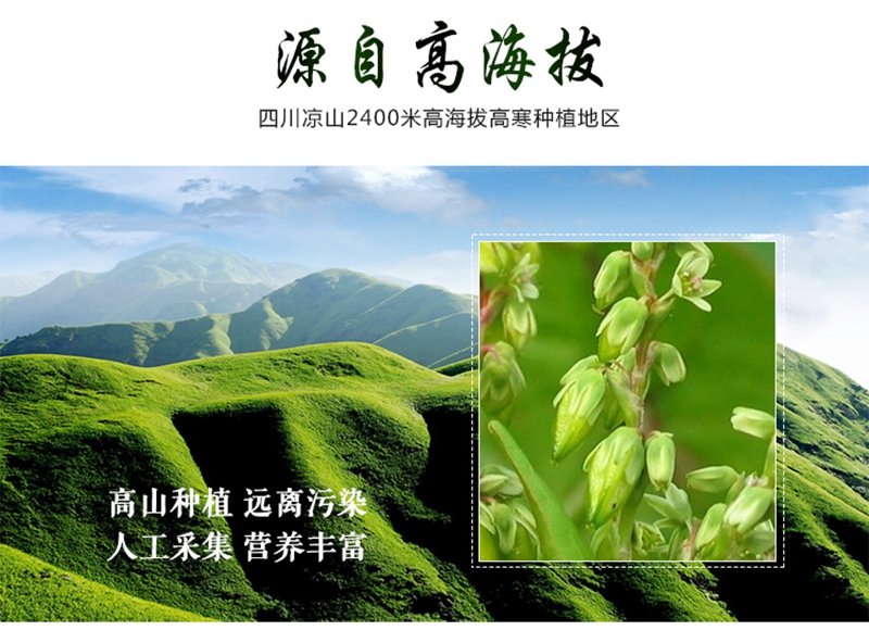 汇荞黑苦荞 香茶 铁盒装 口感醇香65.00元