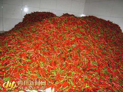小山椒遍野红--自贡荣县乐德镇打造万亩小辣椒