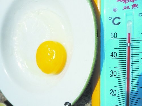 四川泸州达州持续高温 PK太阳底下煎鸡蛋(图)