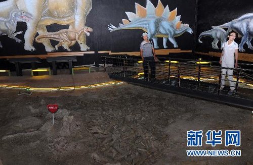 内蒙古二连浩特市着手编制二连盆地白垩纪恐龙