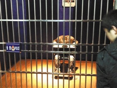 �Ż��ƭ���������Ĵ��ȵص��� �����߸��(ͼ)