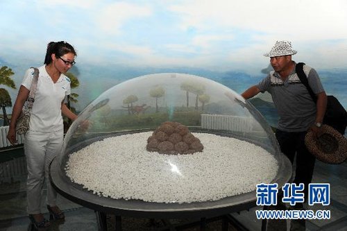 内蒙古二连浩特市着手编制二连盆地白垩纪恐龙