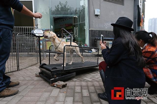 自贡现专用LD乐动体育网址跑步机 市民感叹“好奢侈”(图)