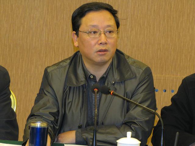 绵阳副市长李炜涉嫌严重违纪违法 接受组织调