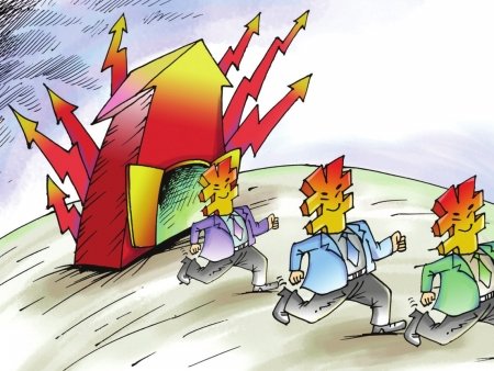 创业板上市一周年 四川上市公司数量排第六