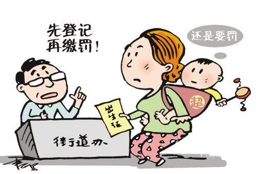 多久人口普查 超生_第六次全国人口普查(3)