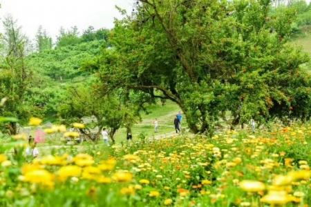 成都新一股冷空气来临 未来退烧三天享受清凉