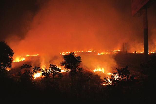 彭山观音镇现秸秆焚烧火海 镇长致歉:禁烧不力