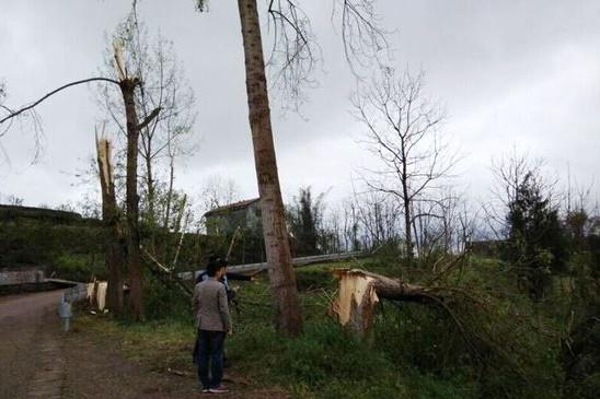广安武胜县遭遇13级大风 已致7人死亡(图)