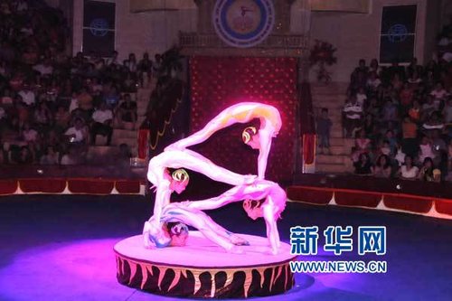 中国湖南杂技团在越南国际杂技节精彩表演(组