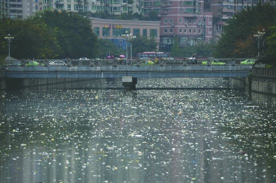 大量白色垃圾突现锦江 专家估计为水位变化所