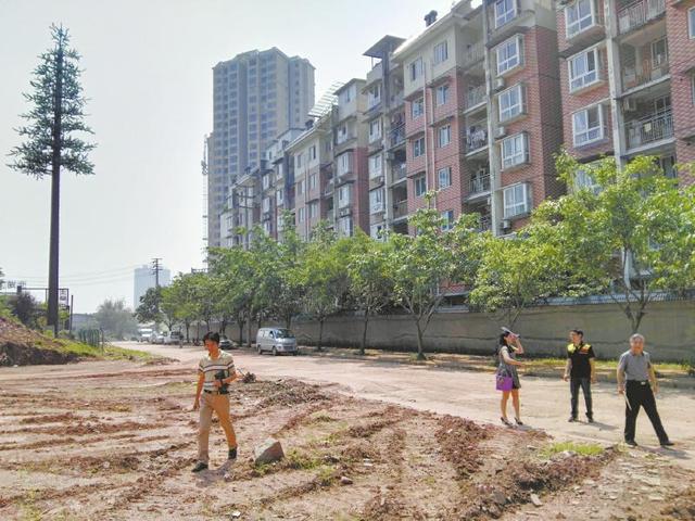 通讯基站化妆成树悄悄挪到小区旁 遭居民嫌弃