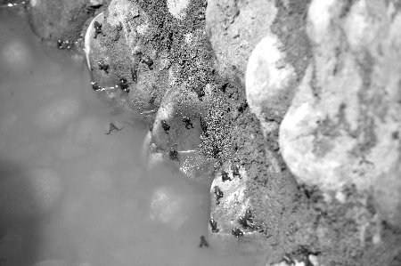 �ɶ���ط�����ֻ����žۻ����� ר�ҳ�����