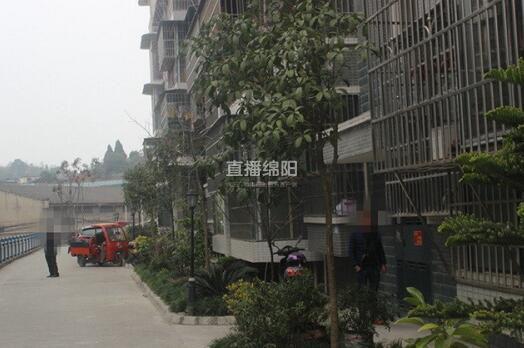 三台县各乡镇人口_三台县各乡镇地图(2)