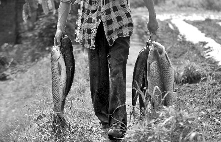 �ɶ���ط�����ֻ����žۻ����� ר�ҳ�����