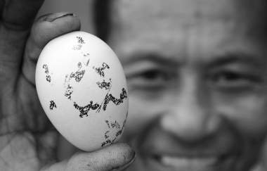 �ڽ����켦���ᡰ������ ���ǻ���������(ͼ)