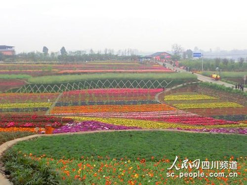 花荄镇人口_花荄镇欧洲花园图片(3)