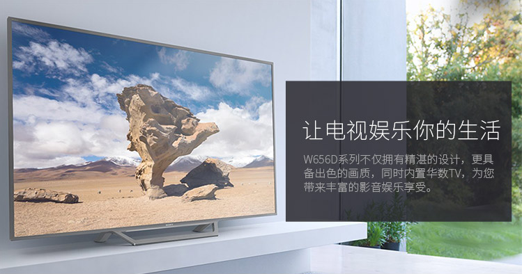 SONY 索尼 48英寸 全高清液晶平板电视 魅彩金