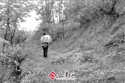 宜宾14岁少女被骗至云南结婚 背着女儿逃跑获