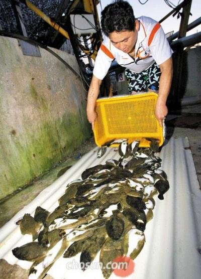 韩国停电全国近瘫痪 被困电梯报警电话900多个